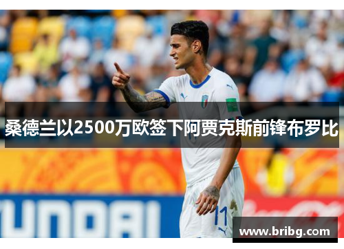 桑德兰以2500万欧签下阿贾克斯前锋布罗比